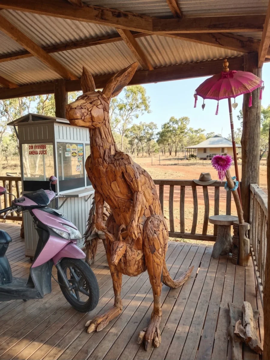 Kangaroo